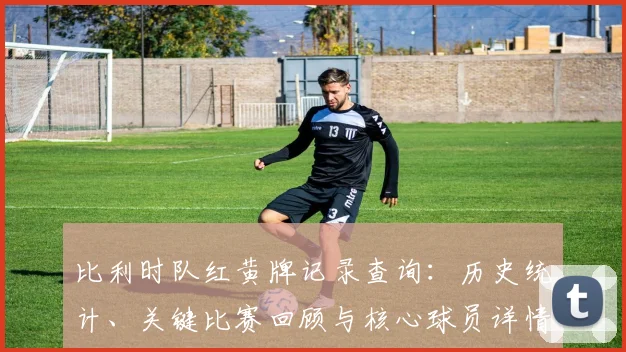 比利时队红黄牌记录查询:历史统计、关键比赛回顾与核心球员详情