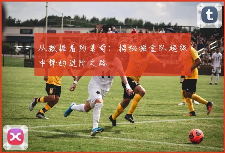 从数据看约基奇:揭秘掘金队超级中锋的进阶之路